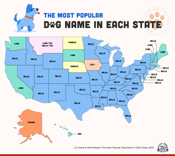 What are the most popular baby names in the USA in 2023?
