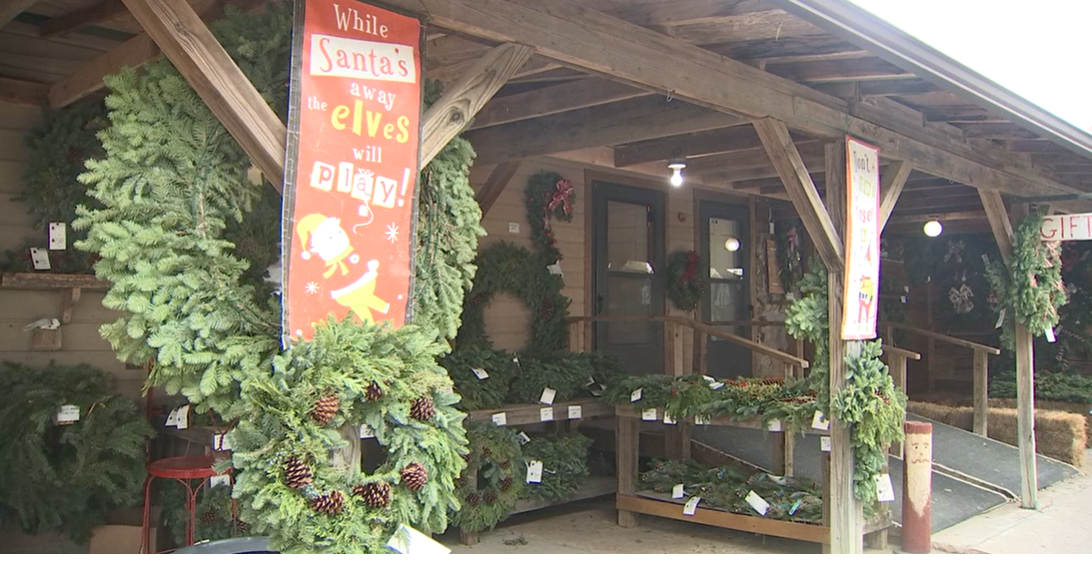 Owasso Tree and Berry Farm opens 2022 Christmas season Local & State