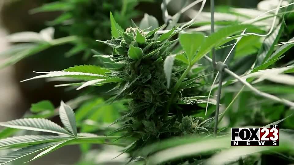 Oklahoma Medical Marijuana Authority takes legal action against