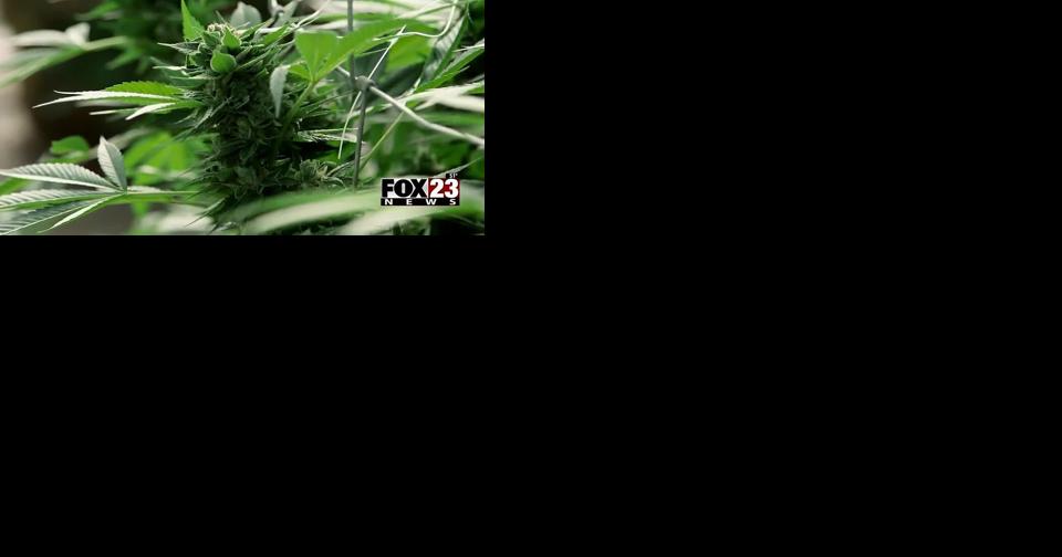 https://bloximages.chicago2.vip.townnews.com/fox23.com/content/tncms/assets/v3/editorial/d/ec/dec02504-5267-51d0-8b79-a3b86aaf3b4d/647f6cab06c48.image.jpg?crop=960,504,0,17&resize=438,230&order=crop,resize