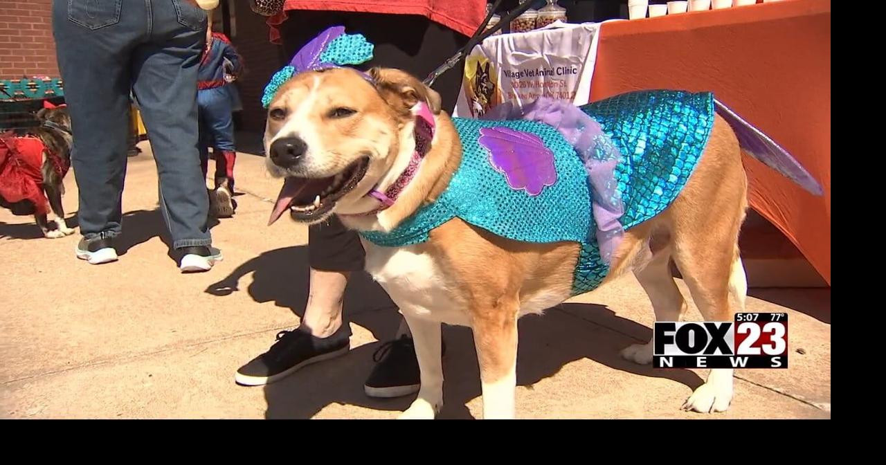 Video Broken Arrow animal clinic puts on 'Dogtoberfest' event News