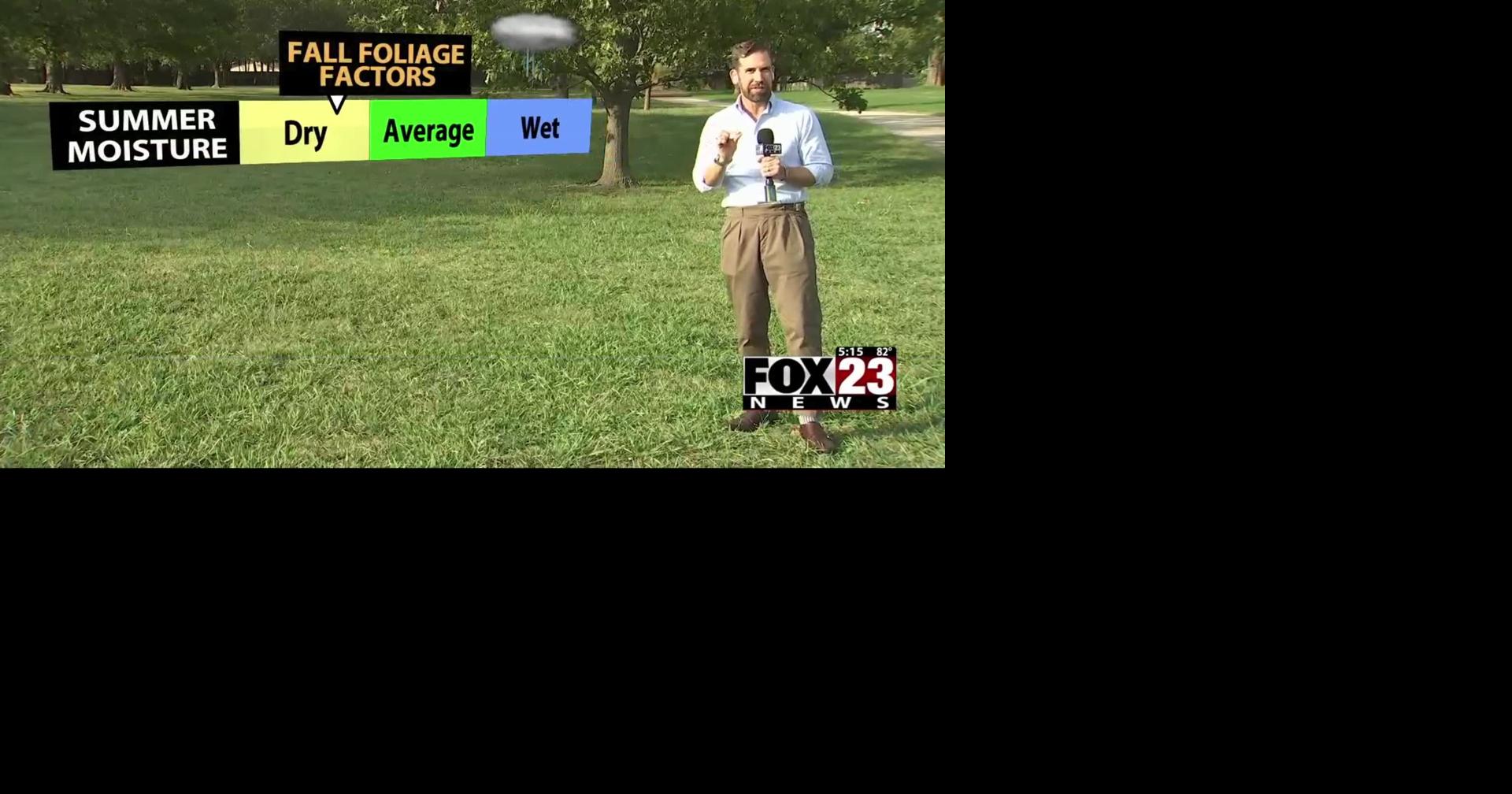 Fall foliage in Oklahoma What to expect this year Local & State