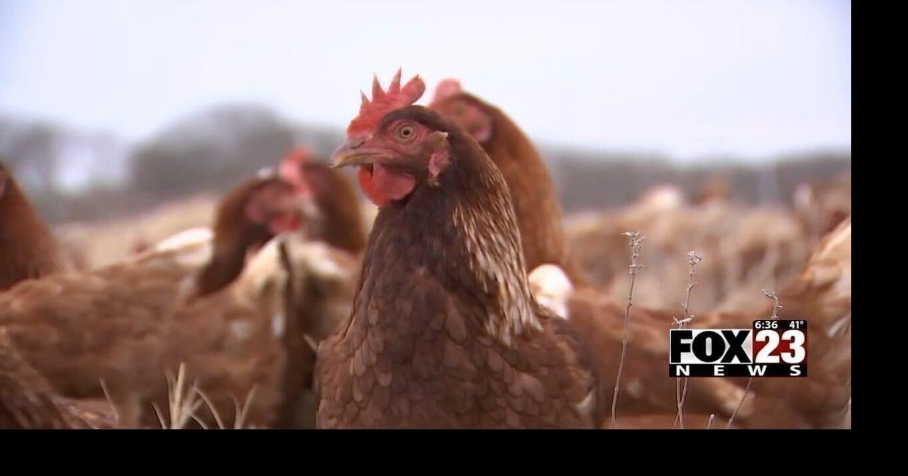 In Depth: Stitt and Drummond clash over proposal to end long-running Illinois River pollution case