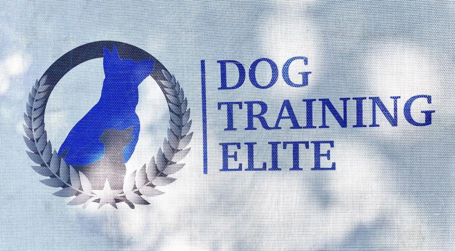 Local dog trainer talks about the benefits of service dogs Local