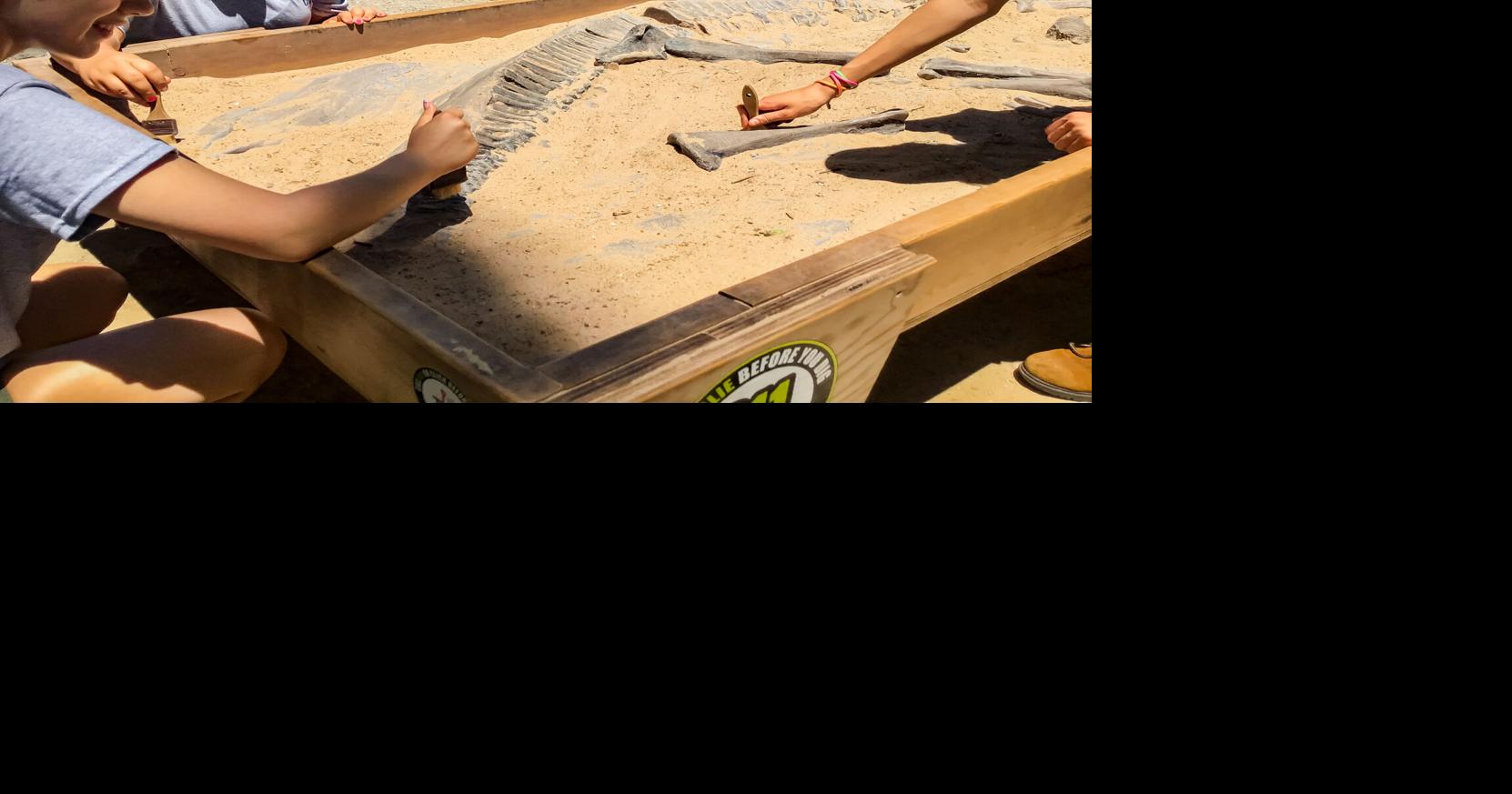 Tulsa Zoo offers paleontology camp for high schoolers News