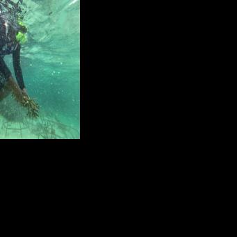 Tiny Fiji village restores dying fishery with coral planting Ben STRANG Oct 16, 2026 Oct 16, 2026 Updated 4 mins ago