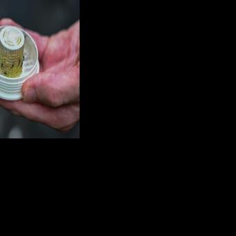 US firm takes on backyard mosquitoes -- with 600,000 mosquitoes Issam AHMED Aug 6, 2026 Aug 6, 2026 Updated 1 hr ago