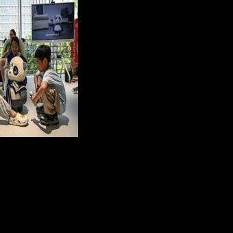 Humanoid resources: China's robots search for workforce breakthrough