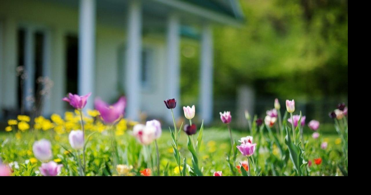 The most expensive homes sold in Albany, Oregon this year