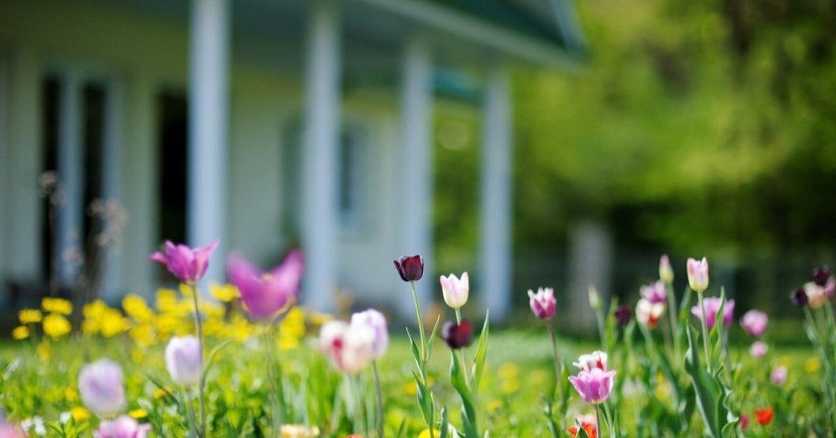 The most expensive homes sold in Albany, Oregon this year