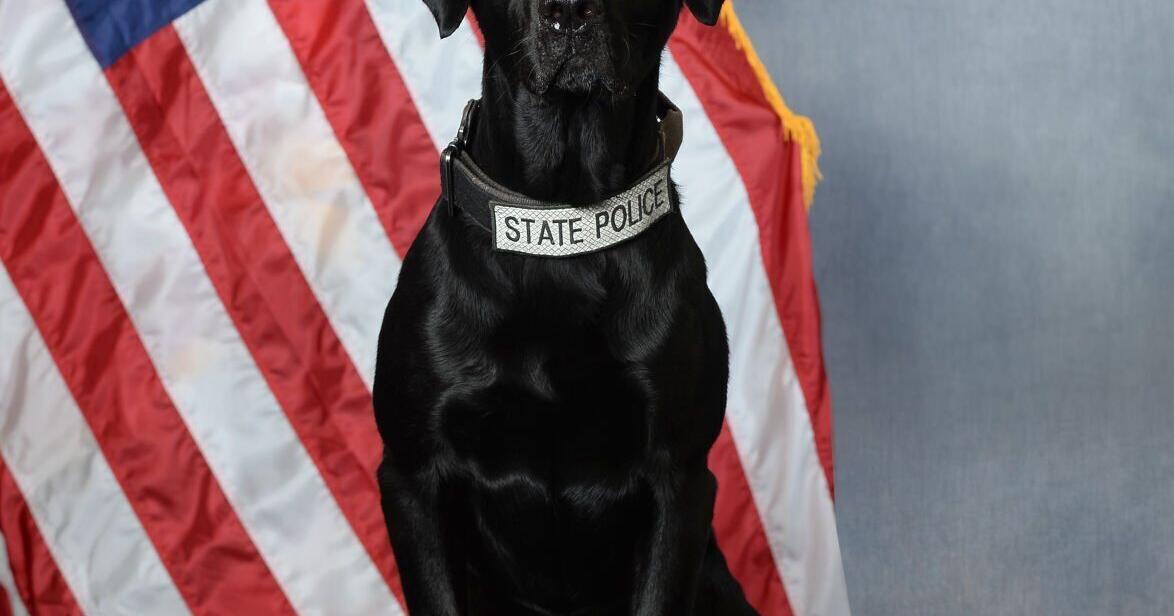 K-9s trained to sniff out fentanyl for Idaho State Police