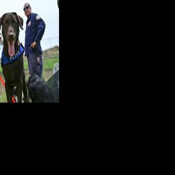 Four-legged rescuers lead way after Venezuela quakes Paula RAMON Jul 5, 2026 Jul 5, 2026 Updated 2 mins ago