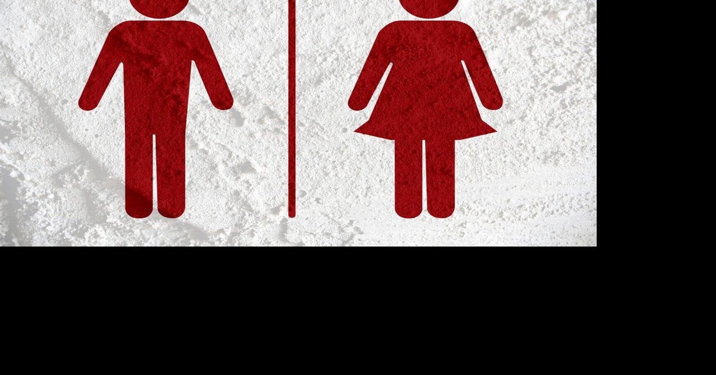 Equal but Separate: How the Gender Divide Is Rewiring America