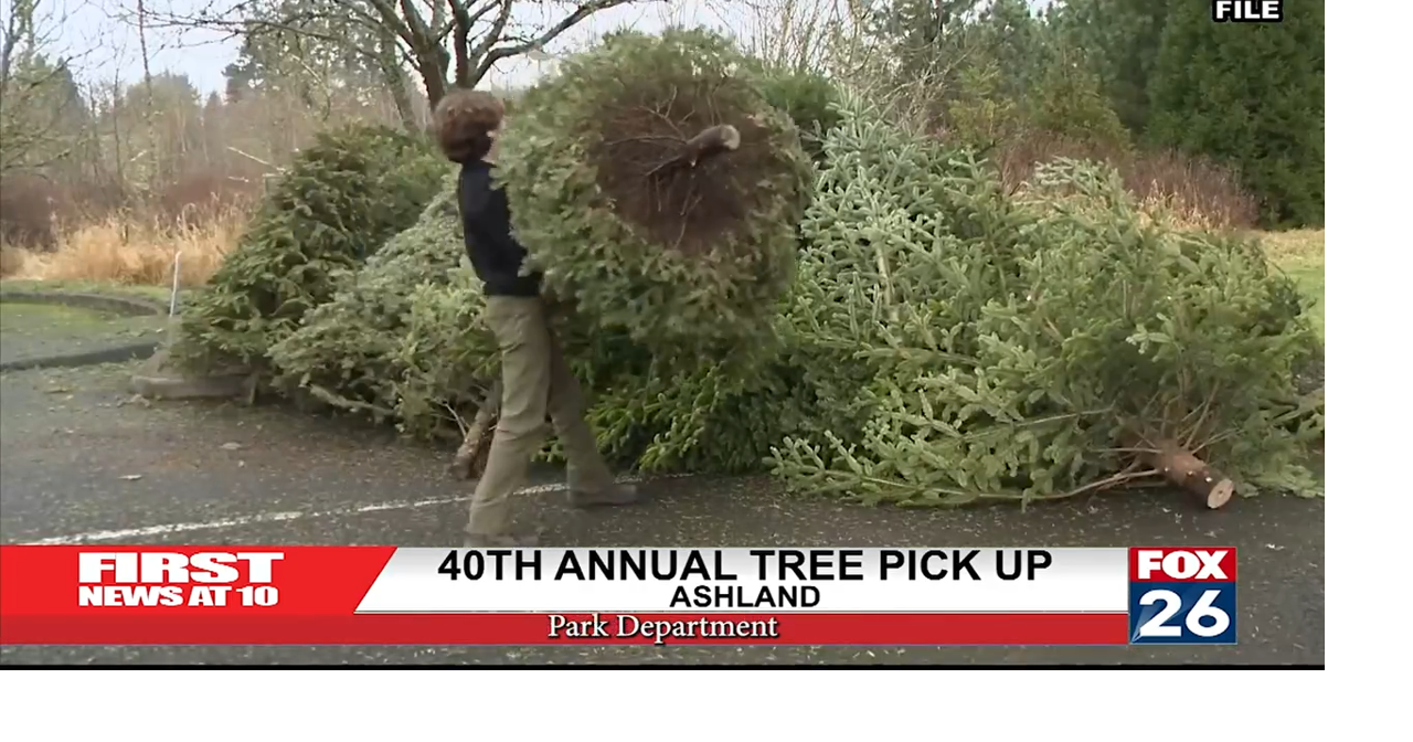40th Annual Tree Pick Up | Local | fox26medford.com