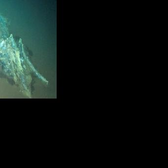 World's largest whale graveyard discovered by Chinese sub Daniel Lawler Jun 10, 2026 1 hr ago
