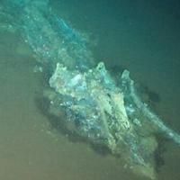 World's largest whale graveyard discovered by Chinese sub Daniel Lawler Jun 10, 2026 1 hr ago