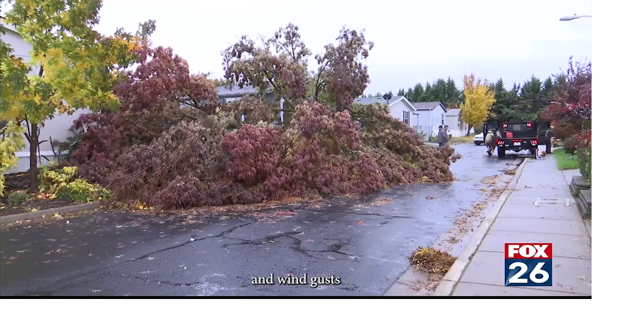 Overnight Winds Cause Power Outages, Downed Trees | Local ...