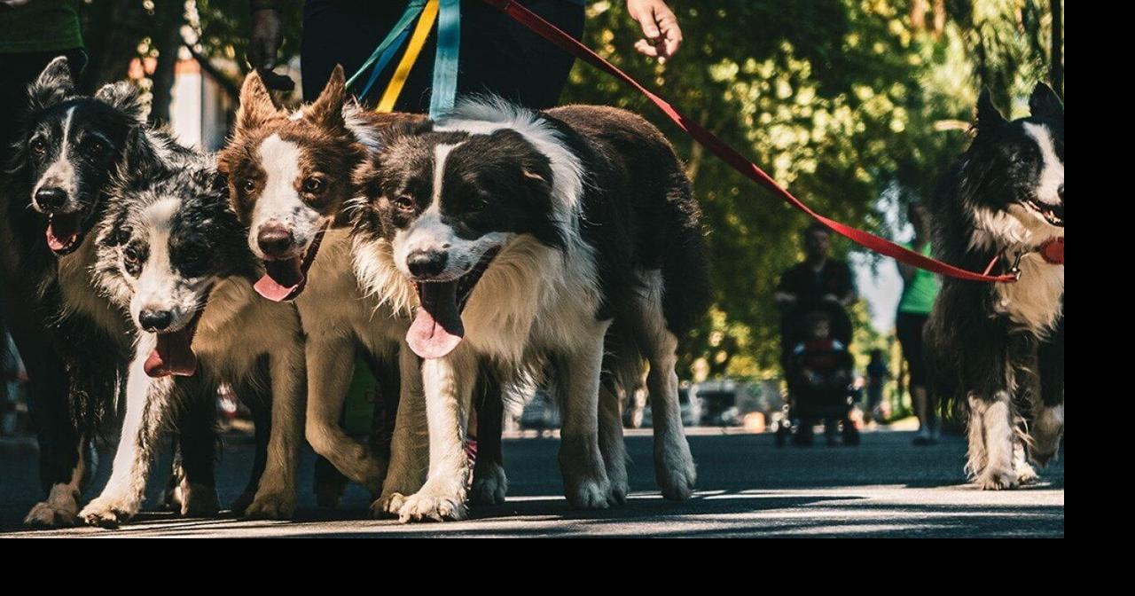 'Lazy jobs' aren't lazy: How Gen Z rebranded work-life balance