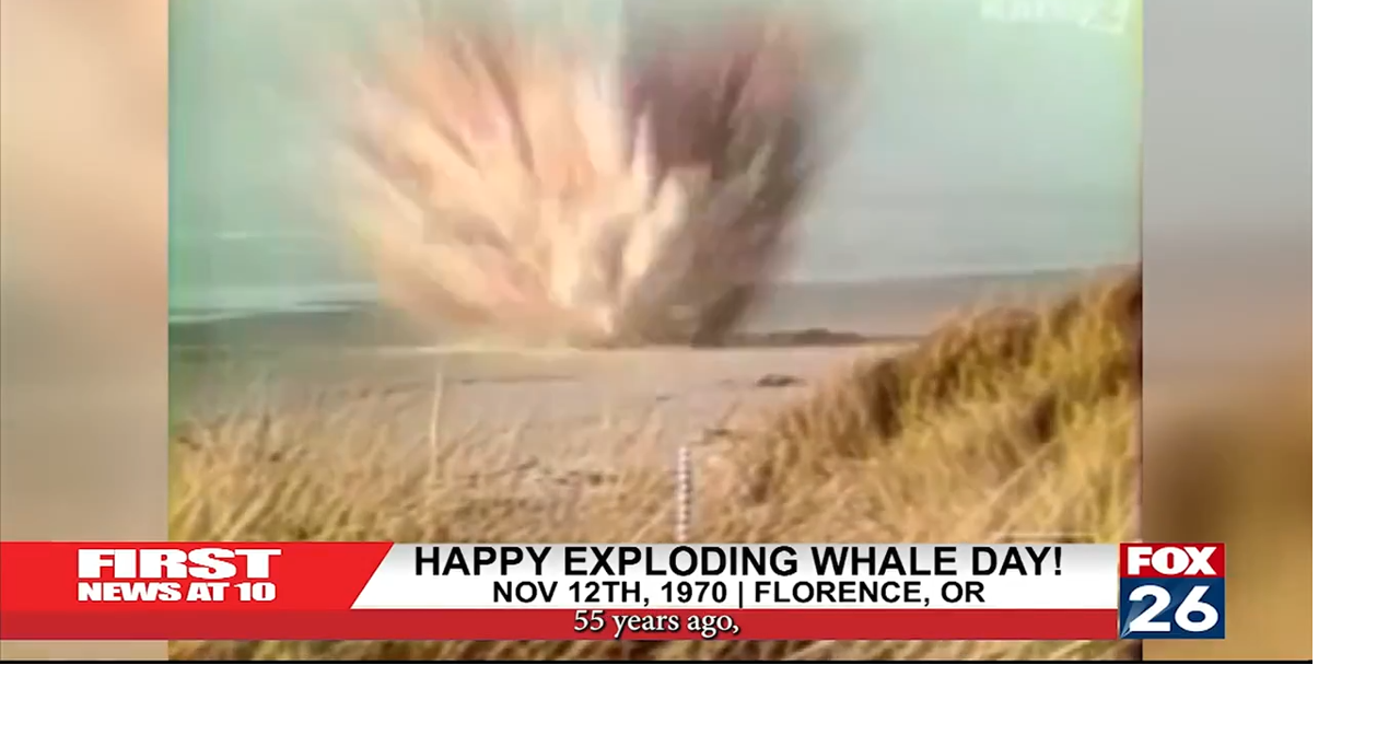 Happy Exploding Whale Day! | Local | fox26medford.com