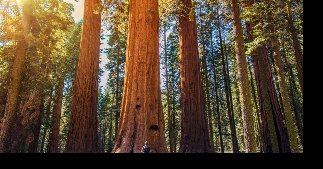Closest national parks to Reno
