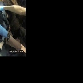 'I can't breathe': clashes erupt after UK police handcuff dying student Marie Heuclin with Anna Malpas in London Jun 2, 2026 Jun 2, 2026 Updated 55 mins ago