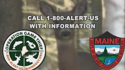 ogt deer shooting gfx