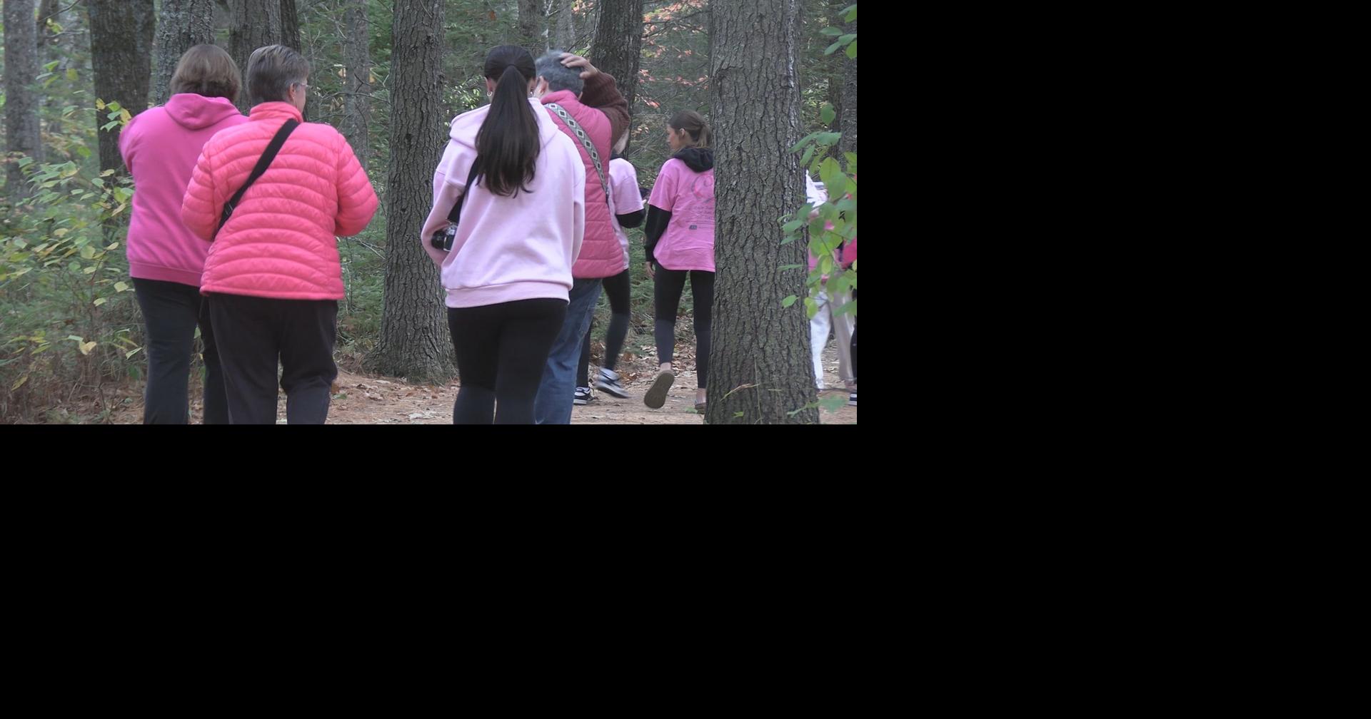 Herman High School students host fundraiser for breast cancer research