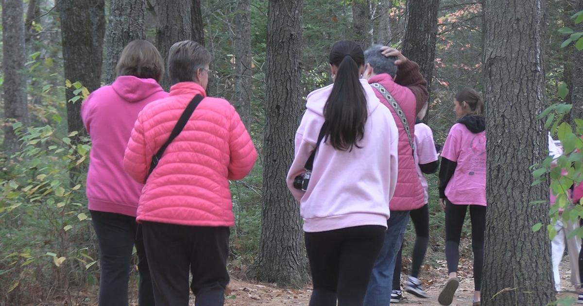 Herman High School students host fundraiser for breast cancer research