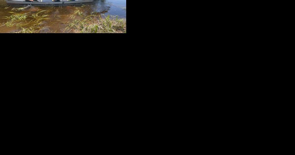 Game Warden K9 team locates missing woman - Vimarsana News