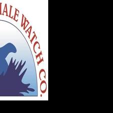 Bar Harbor Whale Watch increases financial support to Allied Whale