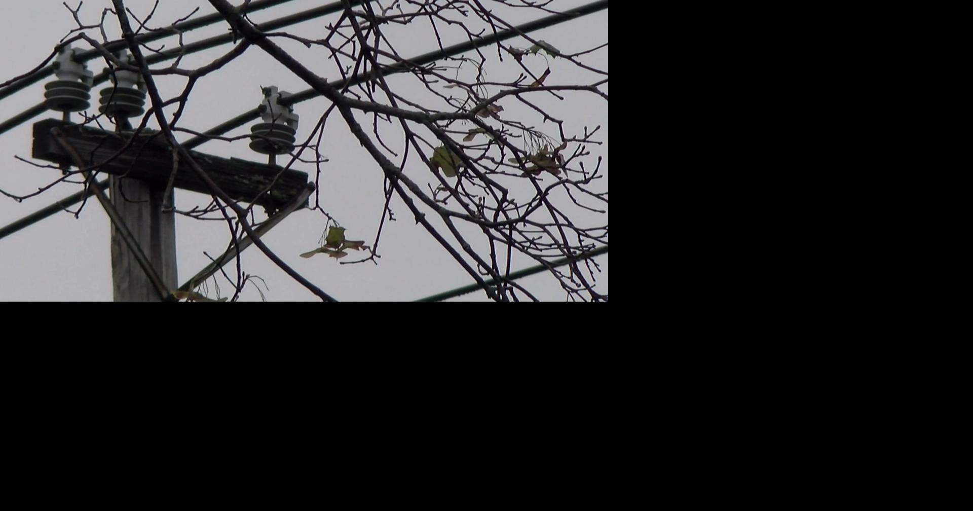 Crews work to restore power after Saturday's windstorm | Local News ...