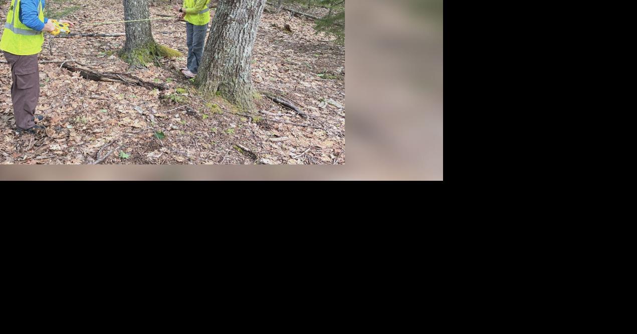 Bar Harbor researchers asks for community help for study of Black Bears in Acadia National Park