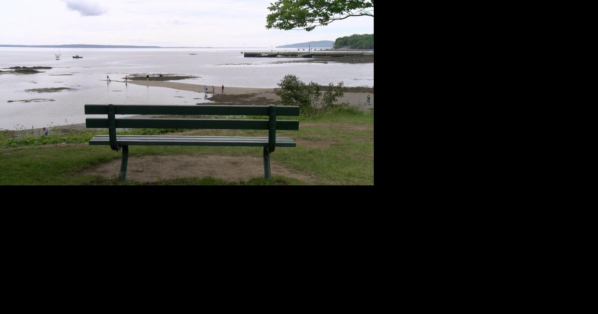 Residents conflicted about the possibility of cruise ships coming to Searsport Local News