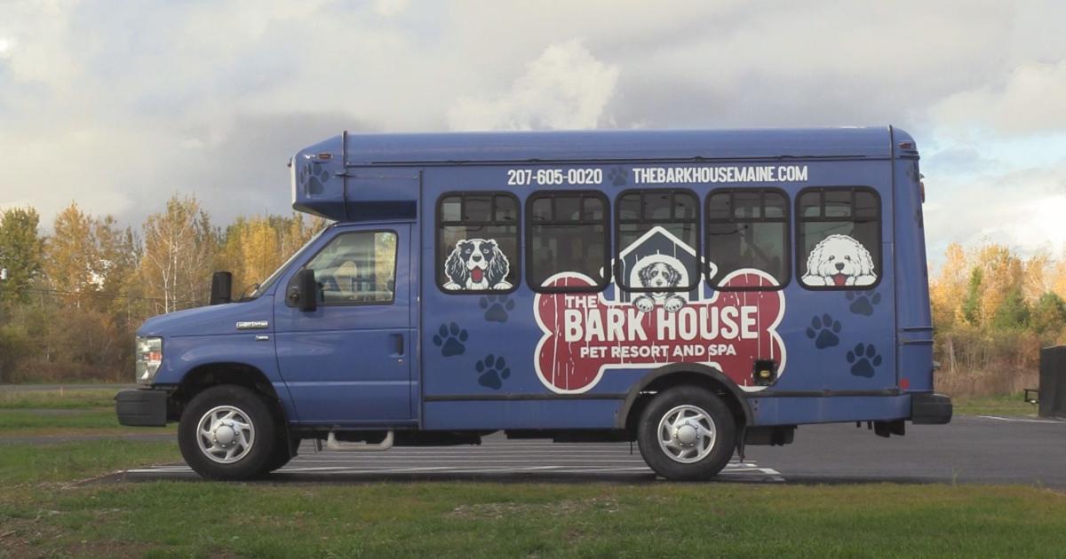 Tagging along on the Bark Bus | Features | foxbangor.com