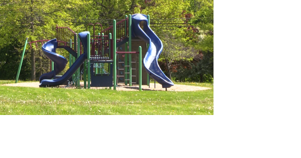 Organizations announce Coe Park festival - Vimarsana News