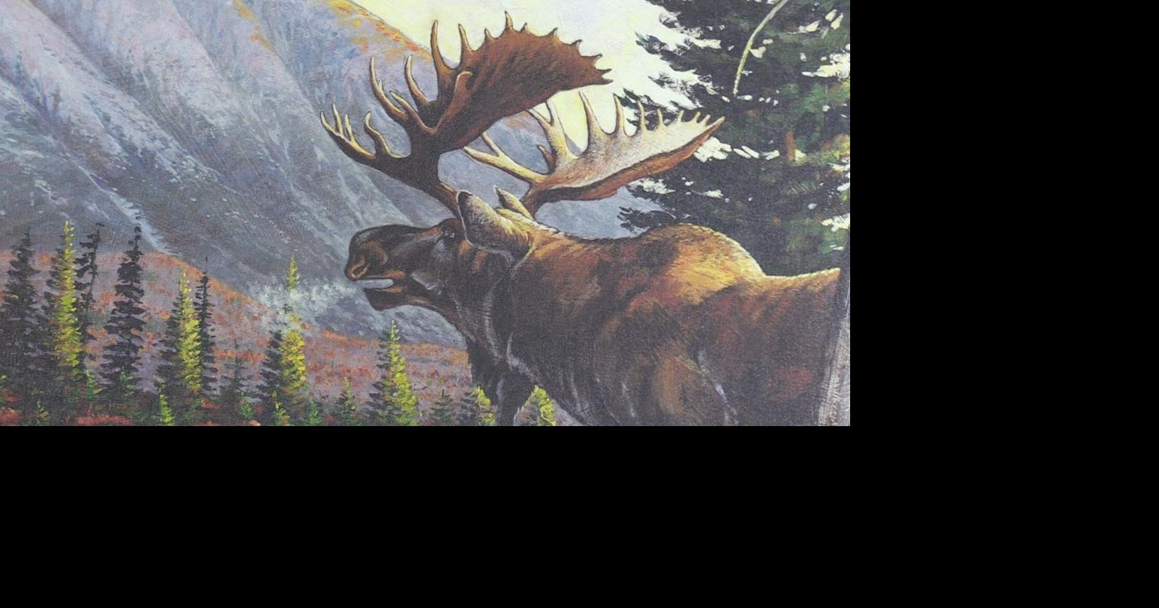 Maine moose lottery returns Saturday Local News