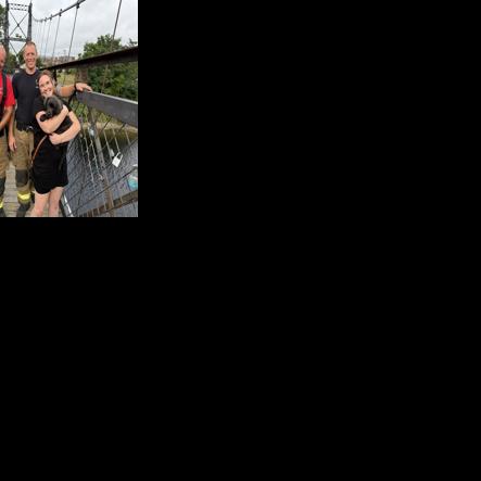 Firefighters rescue puppy from tight spot on Two Cent Bridge in Waterville