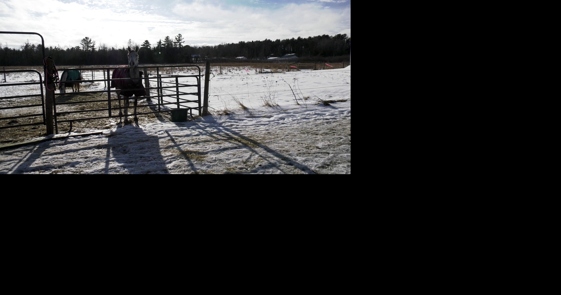 New equestrian center is opening in Bucksport