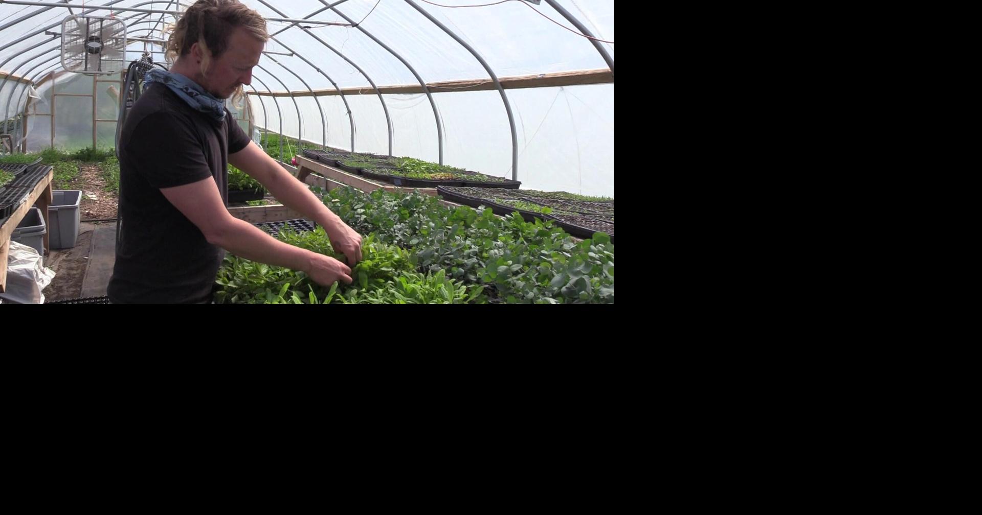 Farms across Maine awarded grant funding Local News