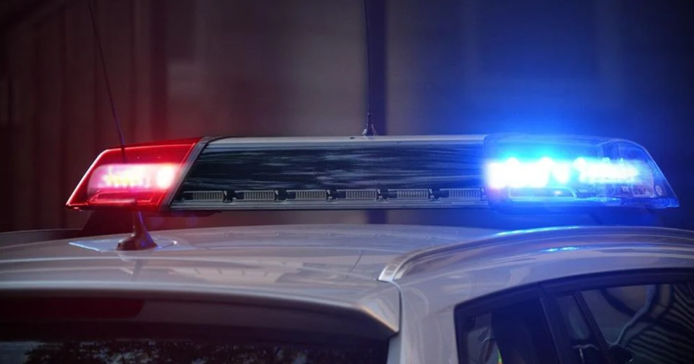 Two in custody after a chase where shots were allegedly fired at police ...