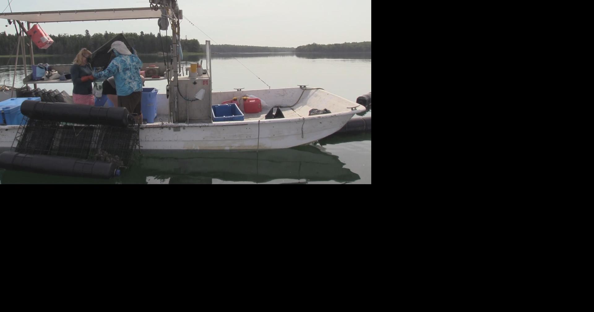 UMaine experts aim to bring New England seafood industry sustainability through cutting-edge research