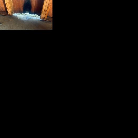 Fire causes minimal damage at fairgrounds