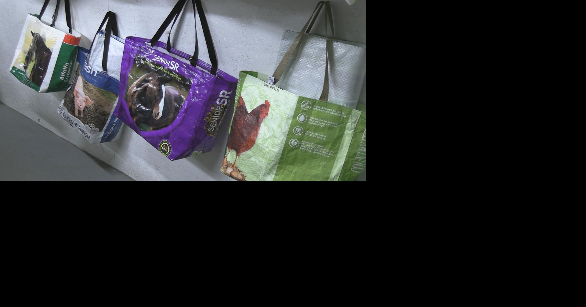 An appetite for recycling