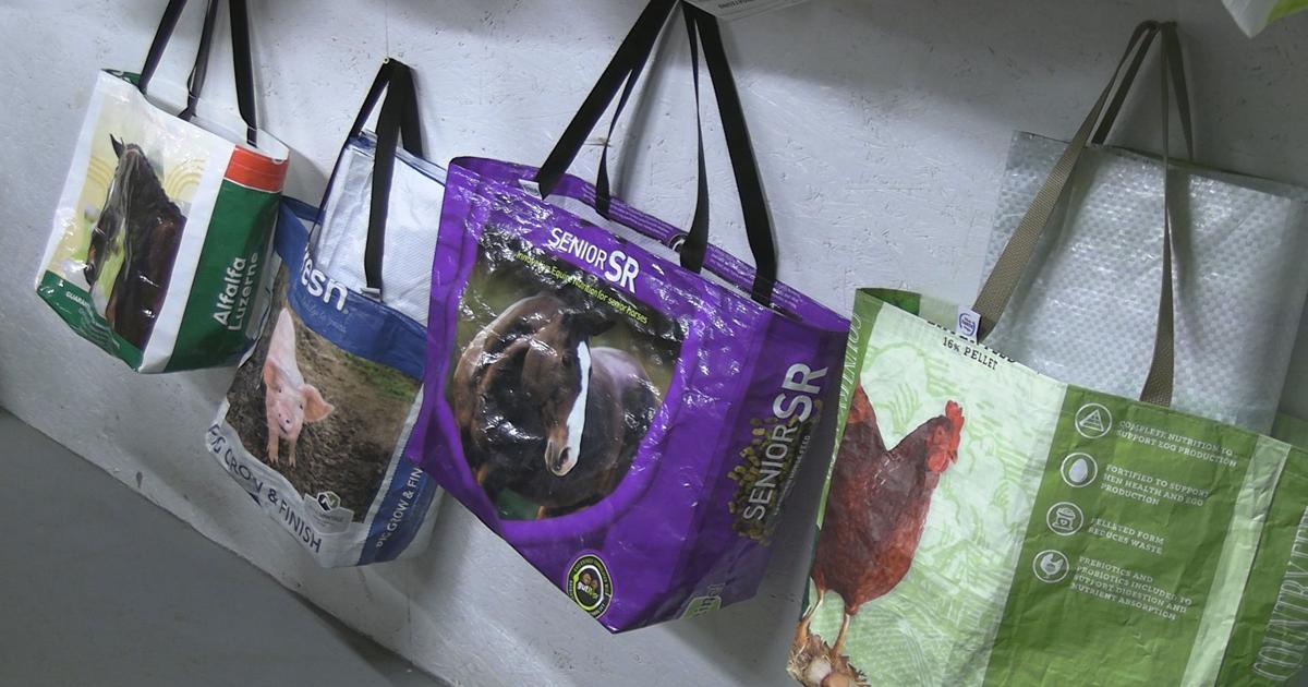 An appetite for recycling