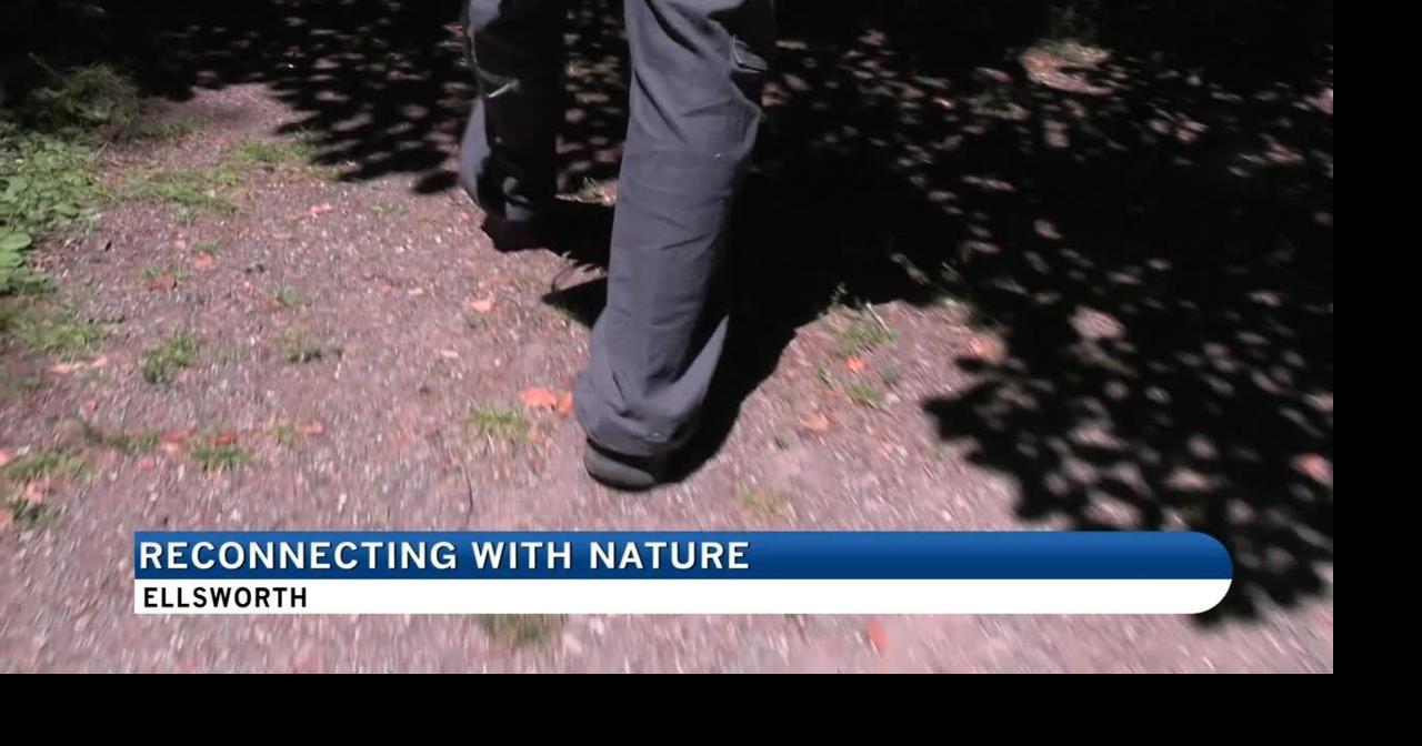 Reconnecting with nature