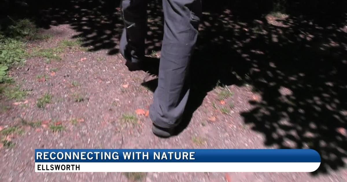 Reconnecting with nature