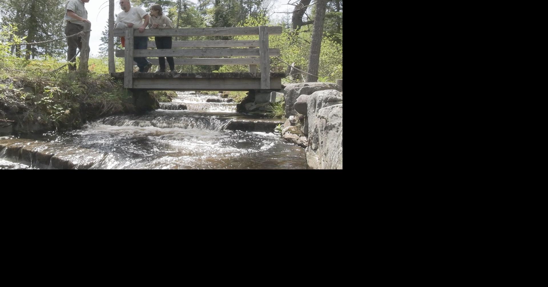 Alewife Day returns to Maine Forest and Logging Museum