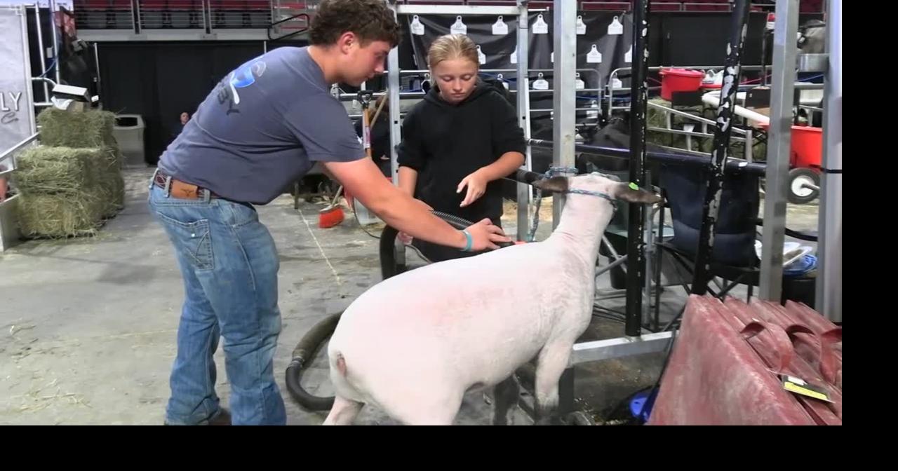 Read more Bangor State Fair returns for 171st year with focus on tradition, community and agriculture