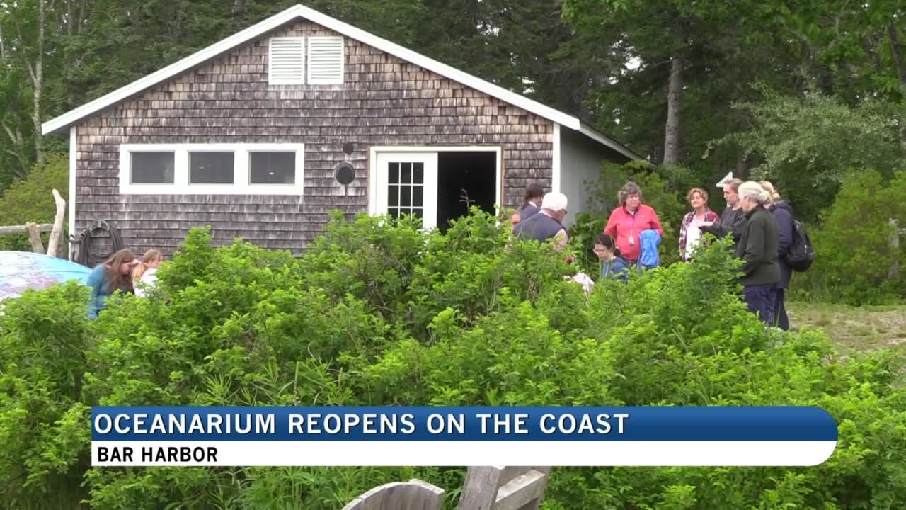 Oceanarium Reopens On The Coast | Local News | Foxbangor.com