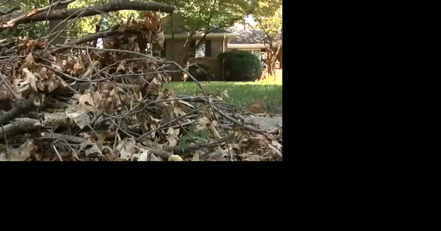Branch Pickup Starting Early in Springfield Due to Storms